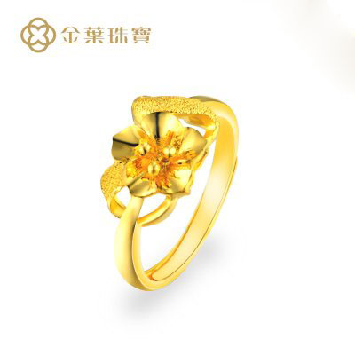 (i)黨Ůָ
